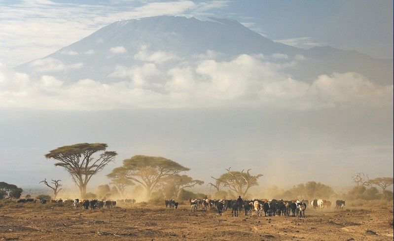 Kilimajaro.jpg