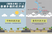 《雙颱合輯》EP.5 身兼多職的疏洪道