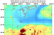 2510 白鹿 加速東北行