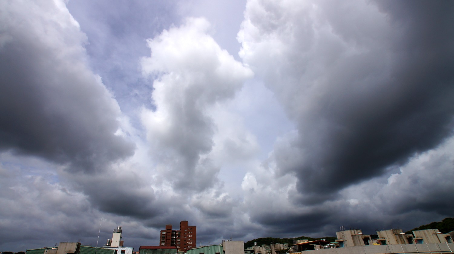 DSC08464_conew1.JPG