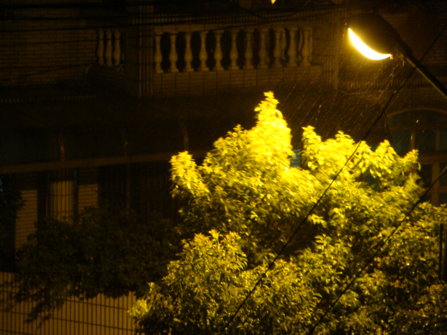 DSC00592.JPG