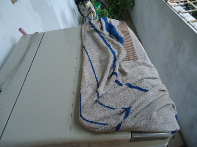 DSC01347.JPG