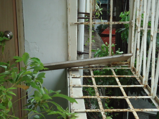 DSC01349.JPG