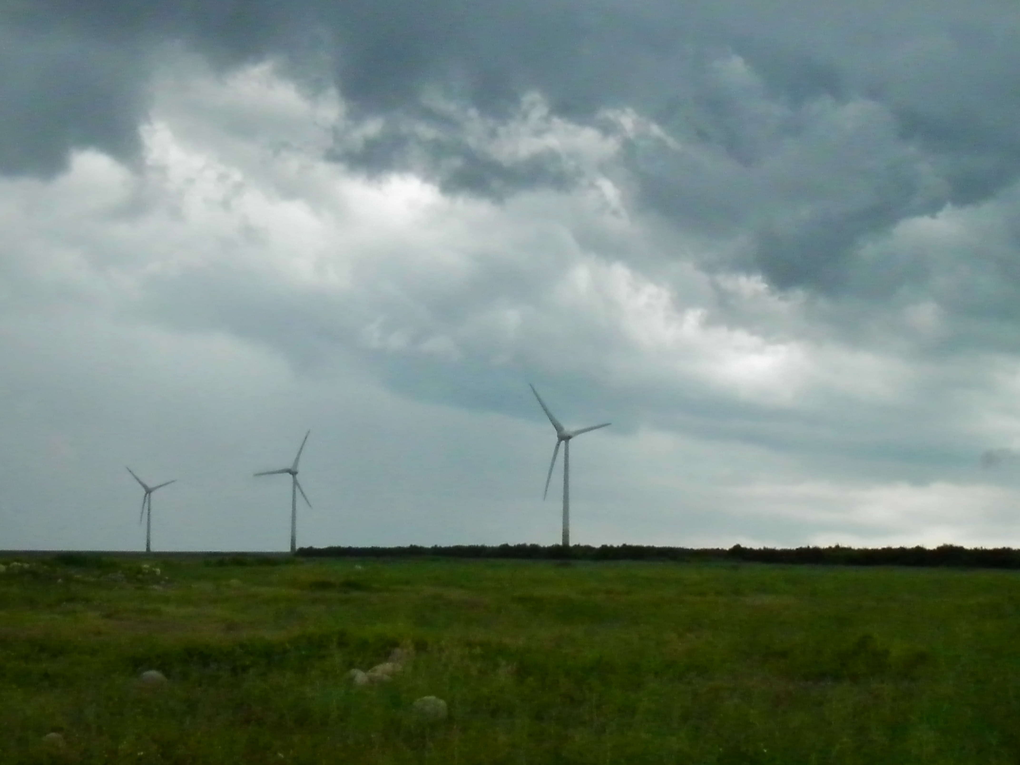 SANY0083.JPG