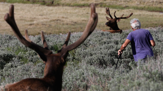 yellowstone-park.si.jpg