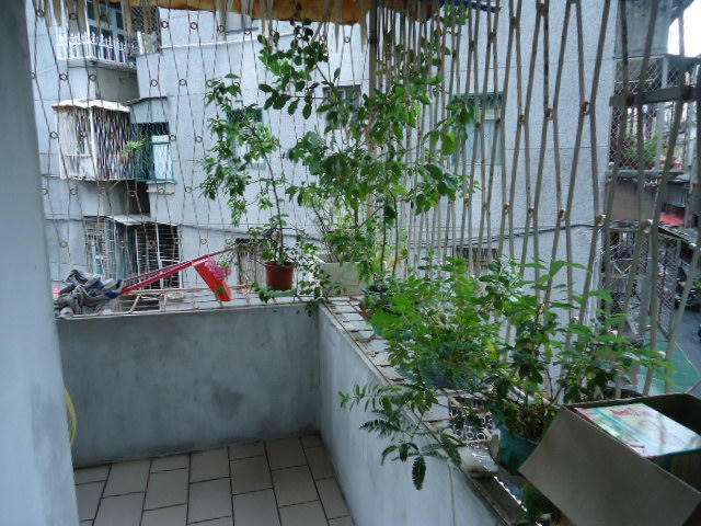 DSC09670.JPG