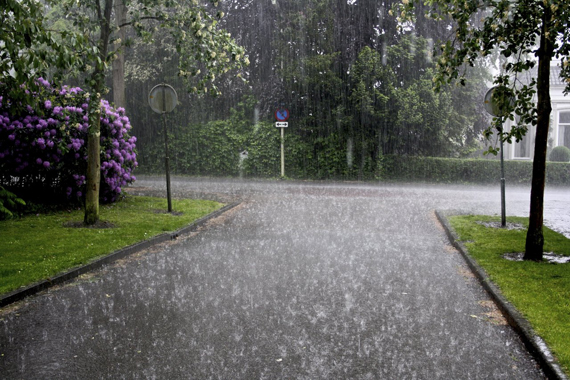 雨.jpg