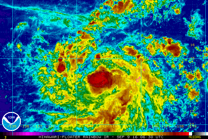 rb_lalo-animated.gif