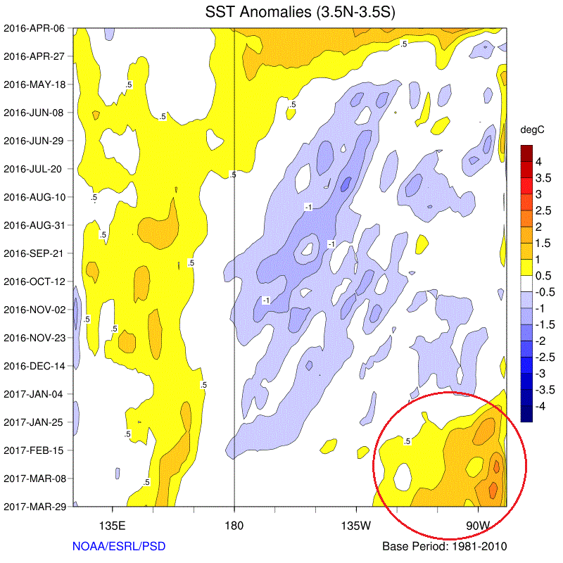 sst.anom.hov.gif