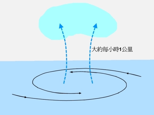 Bele-tracepower-1c.jpg