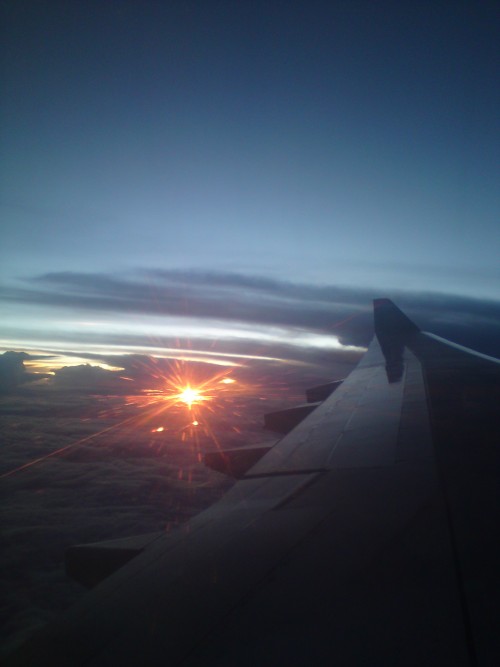 DSC03762_conew1.JPG