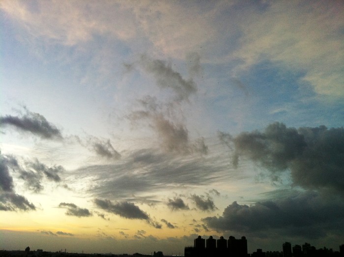 IMG_3095_conew1.jpg